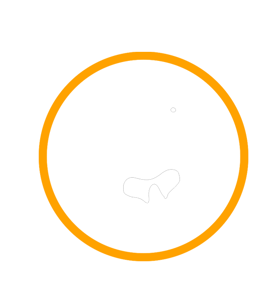 Logo Black